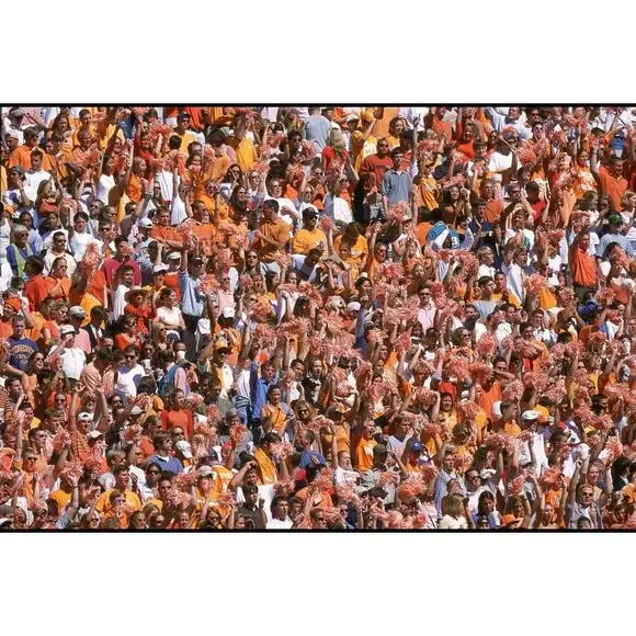 Champion Tennessee Volunteers University of Tennessee Football Shirt Men’s XL - Picture 2 of 4